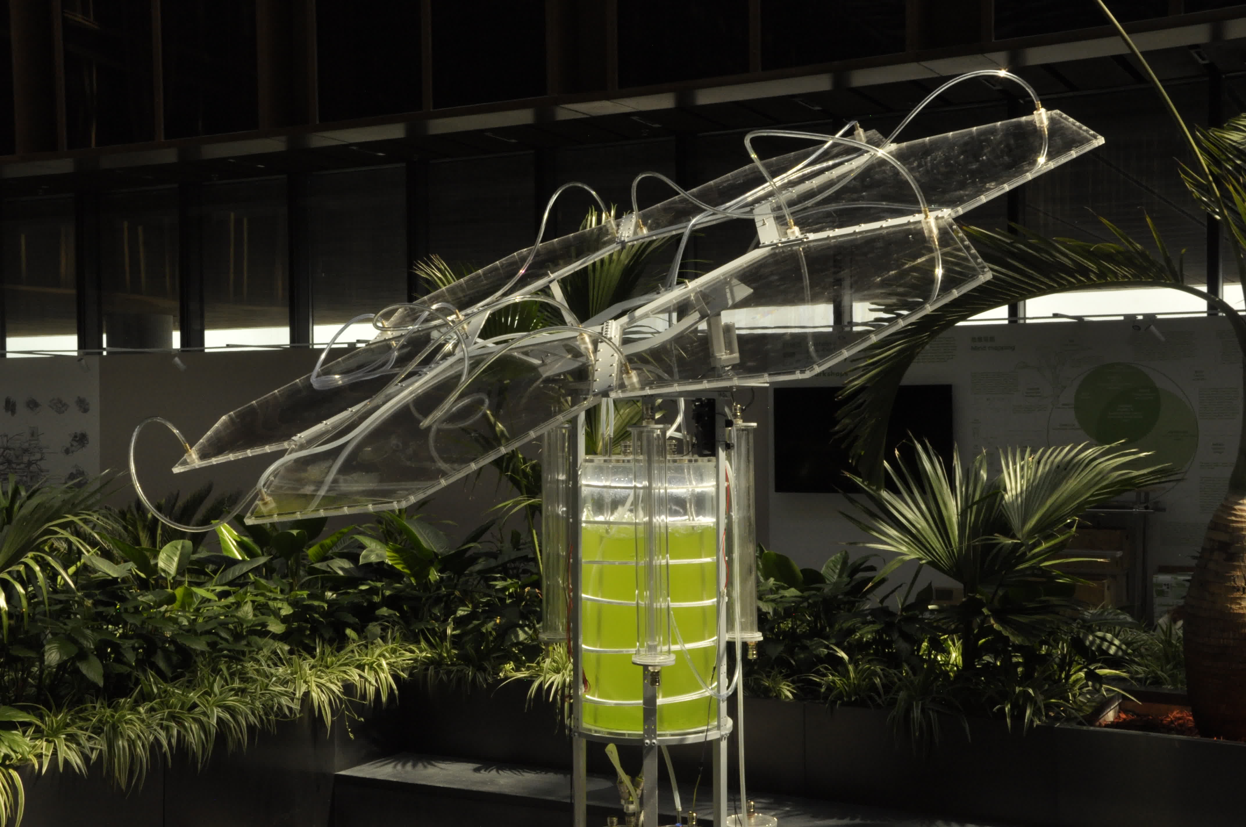 Refactoring Life Program